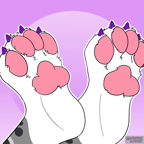 Create Your Own Paws-itively Meownificent GIFs