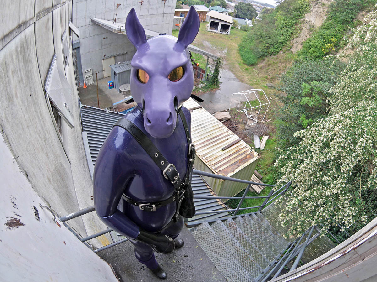 Purple Rubber Pony in Urban Exploration Mode! by lyctiger -- Fur Affinity  [dot] net