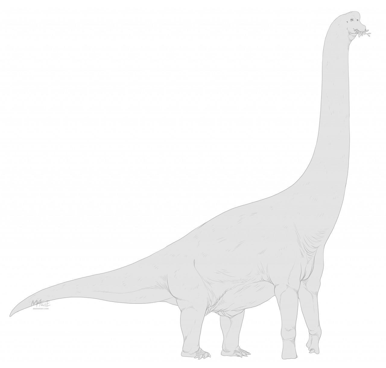 breviparopus dinosaur
