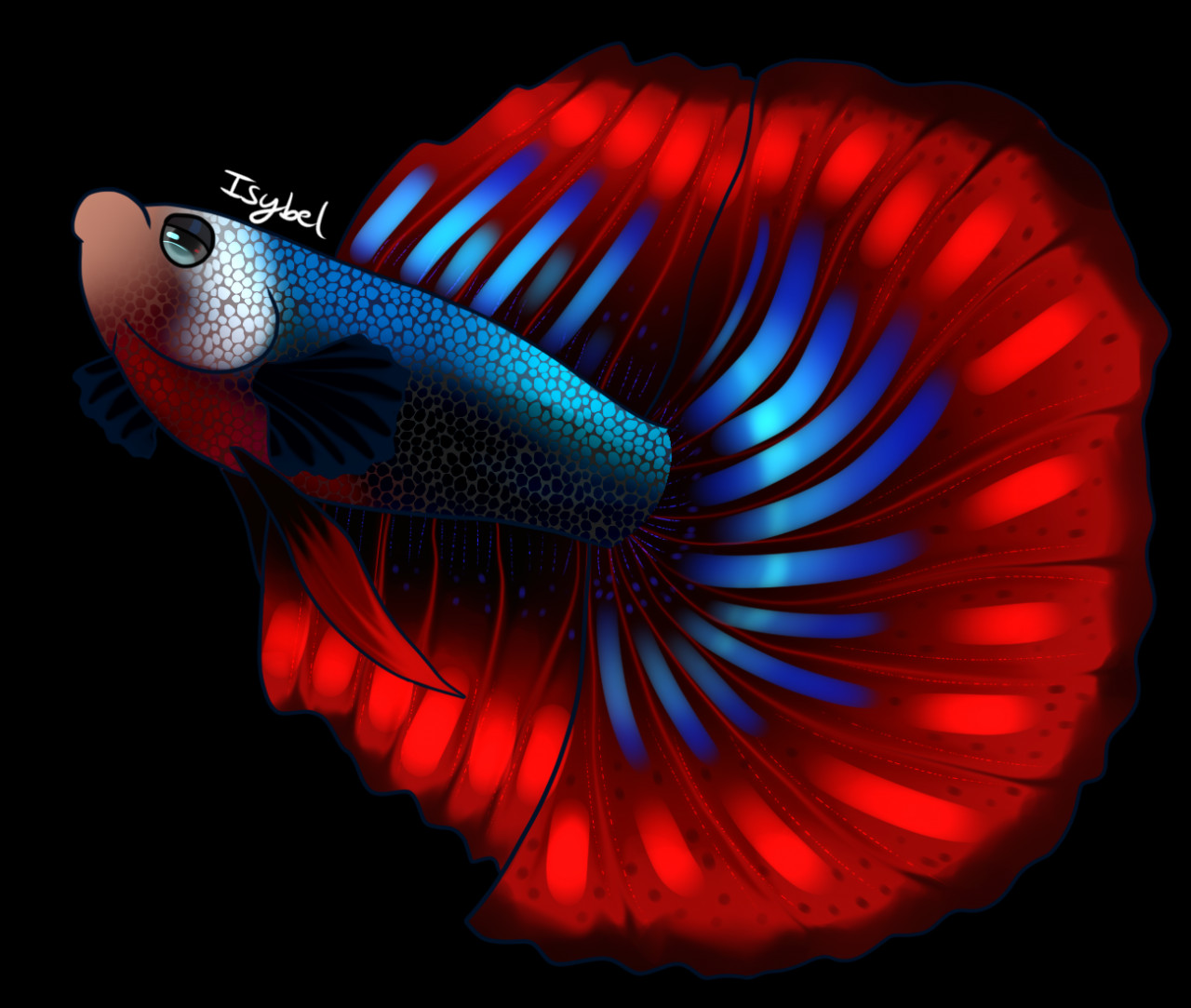 Betta Fish Wallpaper APK for Android Download