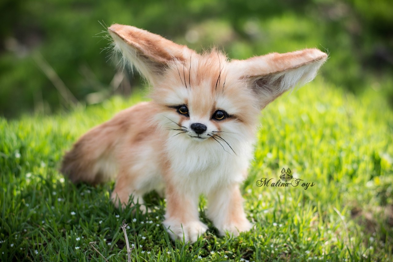 realistic fennec fox plush