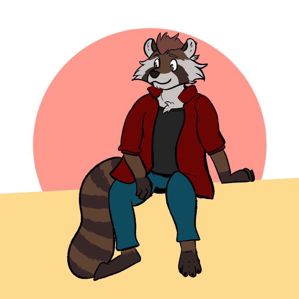 Gay Raccoon sitting