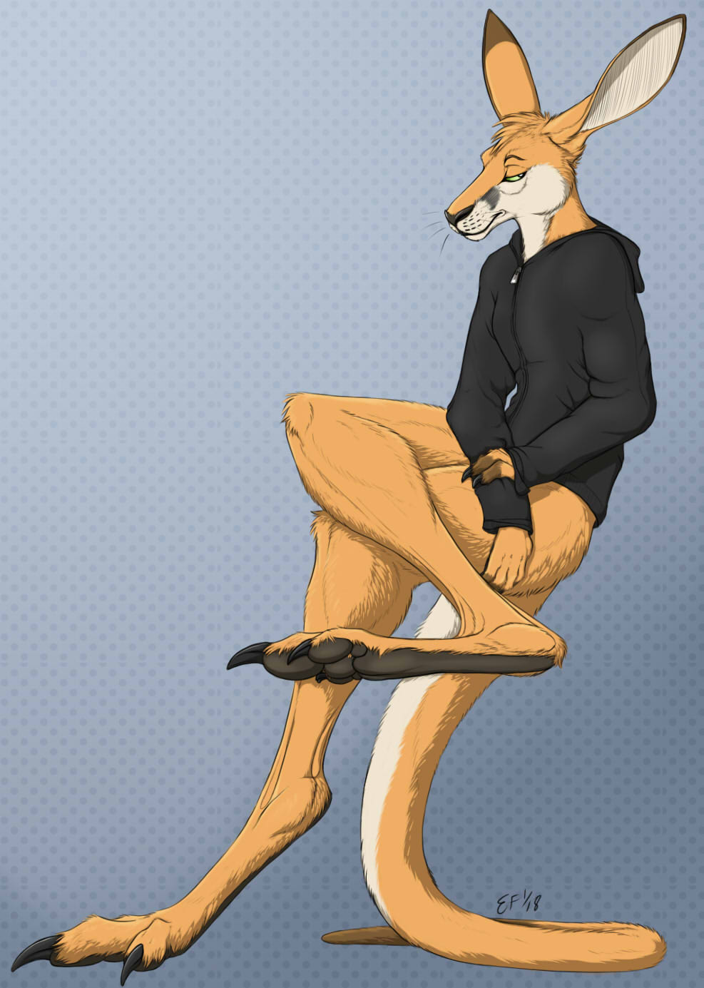 Anthro kangaroo