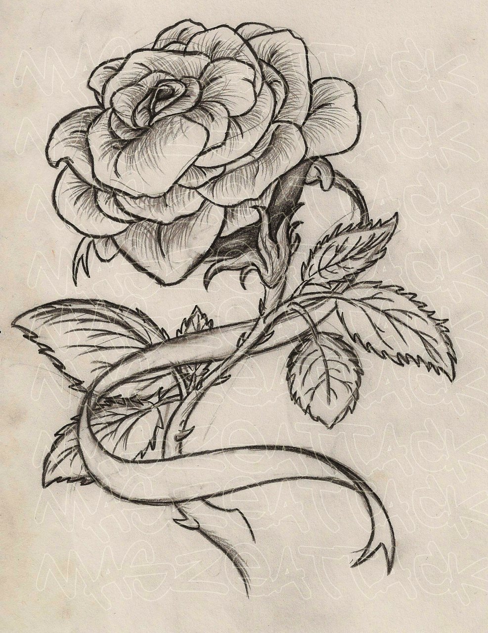 Roses with Cancer ribbon tattoo by tattooist Goyo  Tattoogridnet