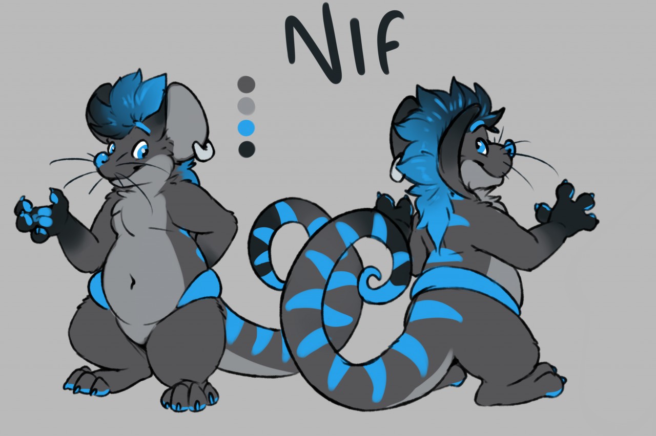 SFW NIF REF