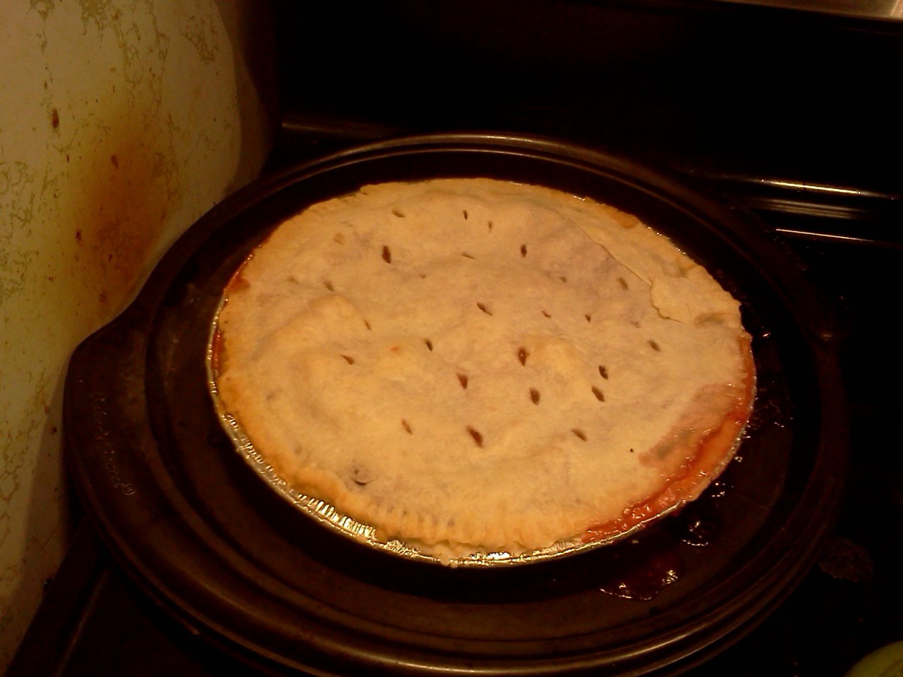 Homemade Strawberry Rhubarb Pie [baked]