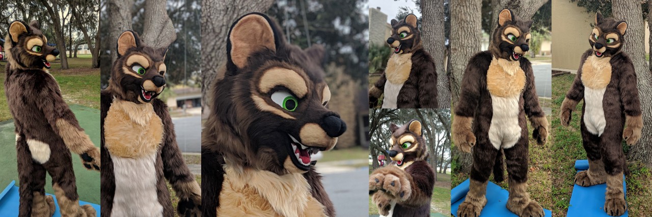 fossa pics for auction by Media -- Fur Affinity [dot] net