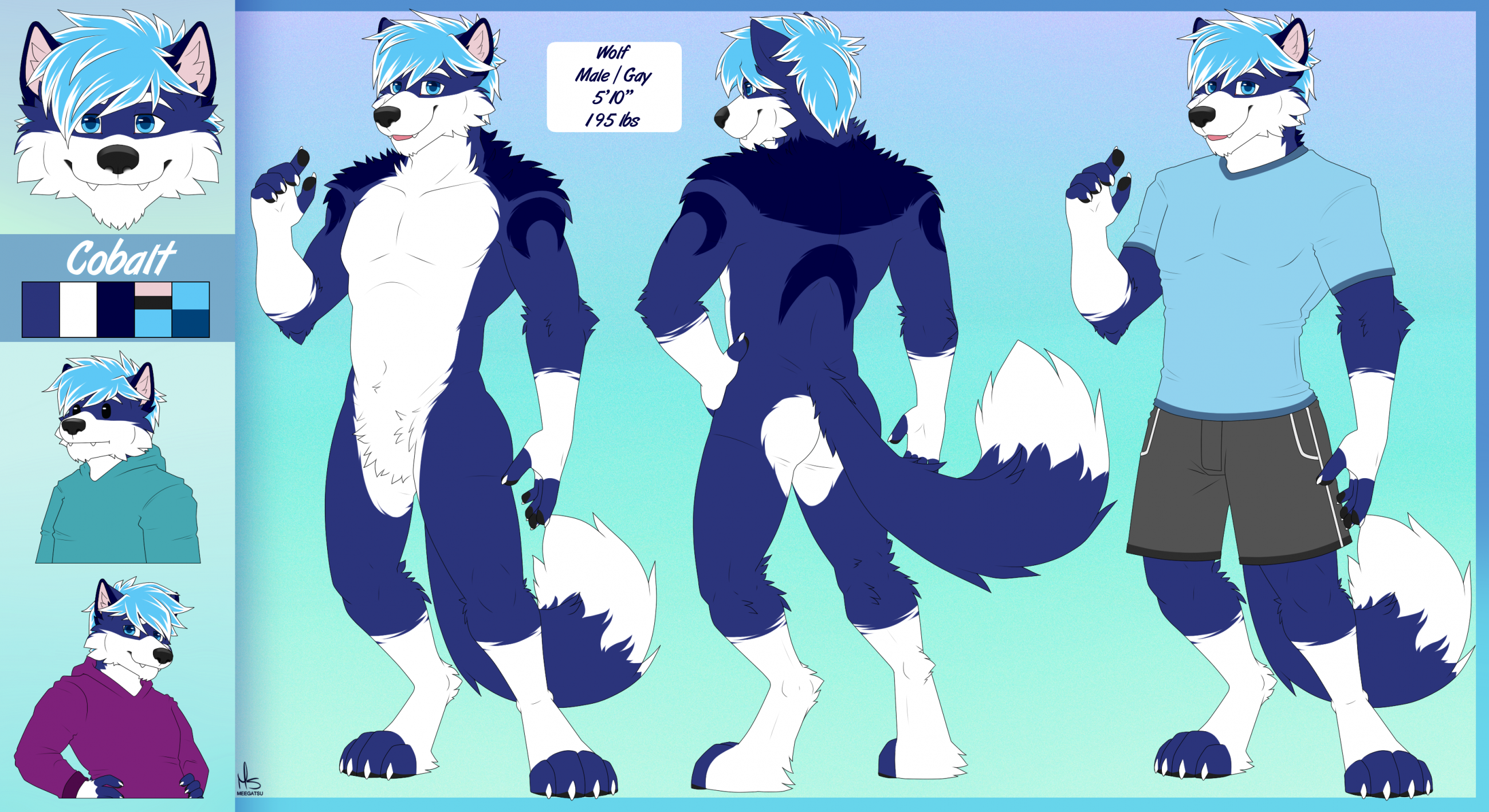 Ref Sheet - Cobalt