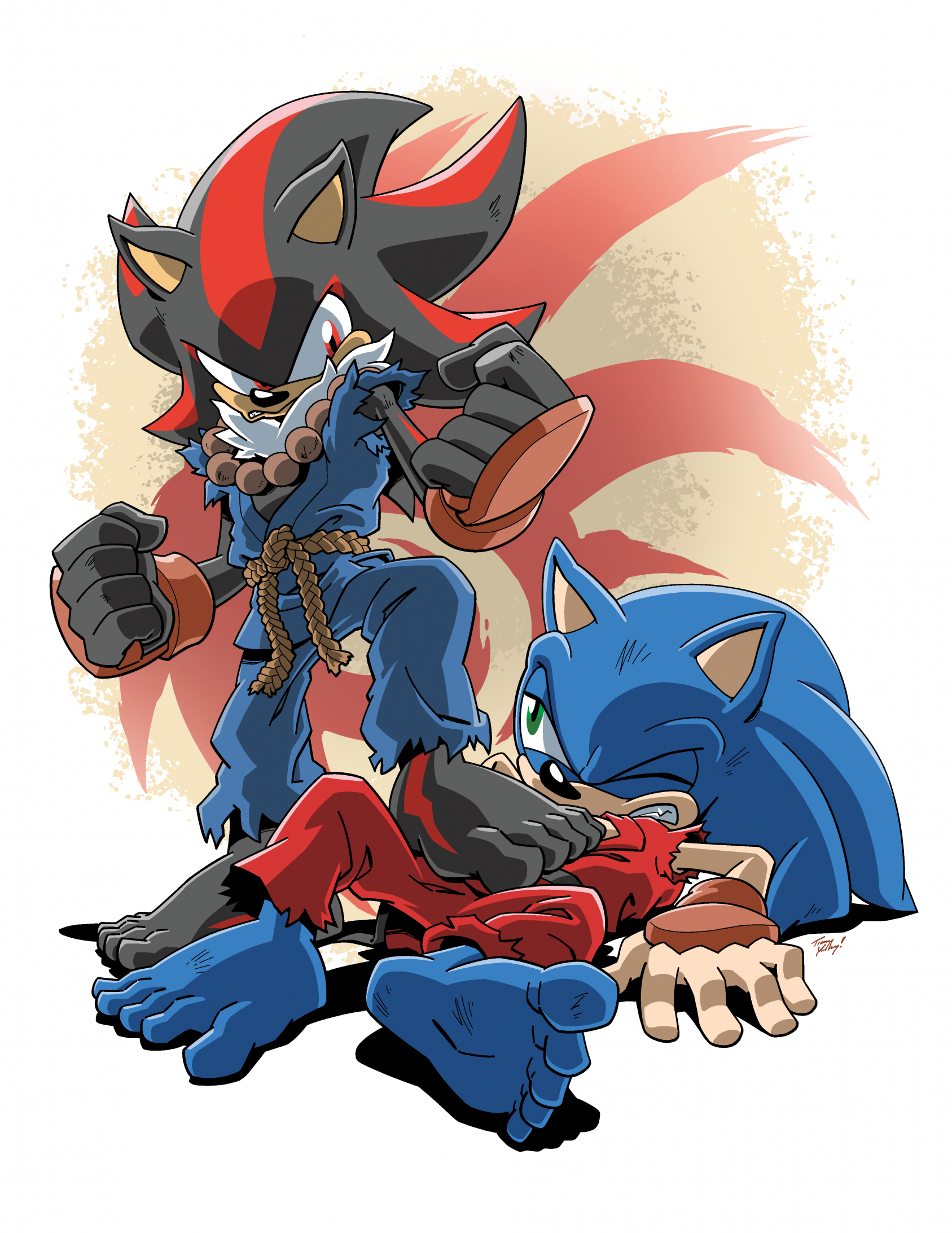 Sonic Boom, Sonic vs. Shadow Showdown!