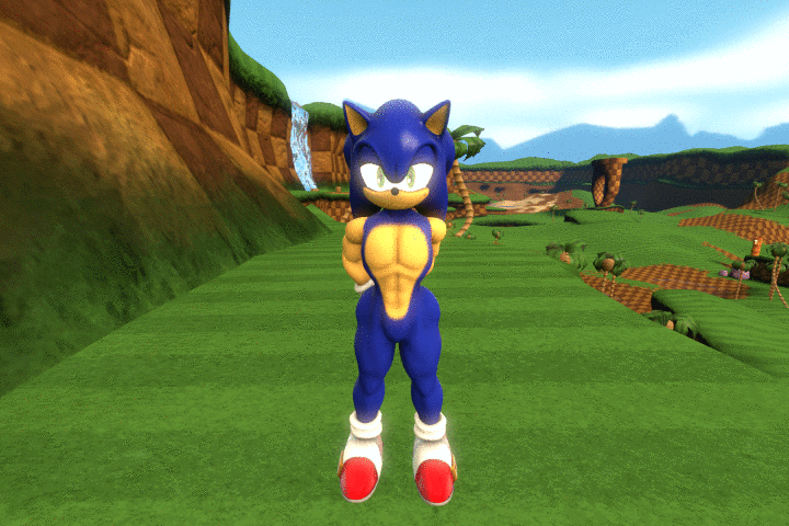 Classic Sonic by MegaMotion on Newgrounds