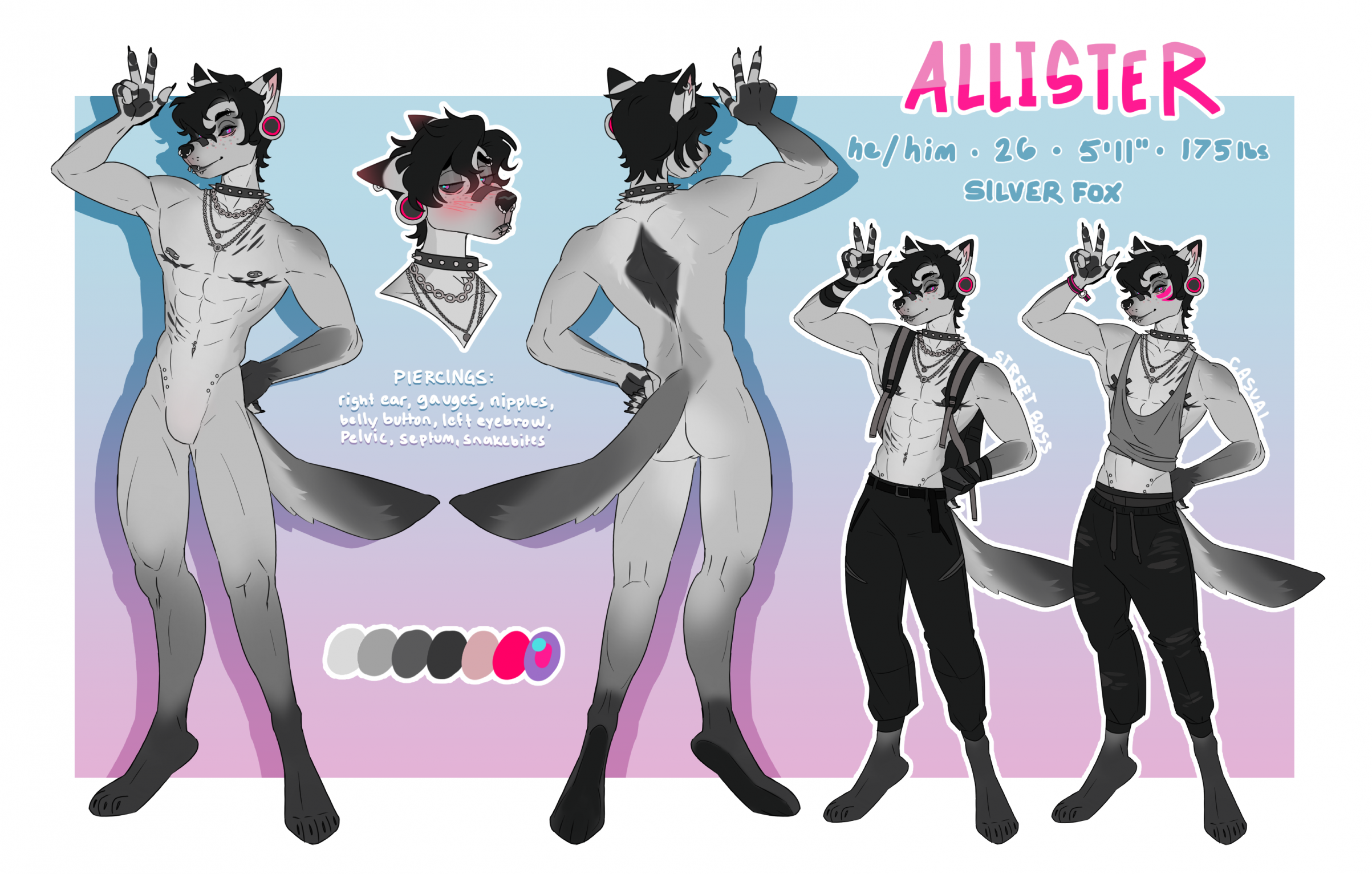For reference only, not my art by silvermoondragon -- Fur Affinity [dot] net