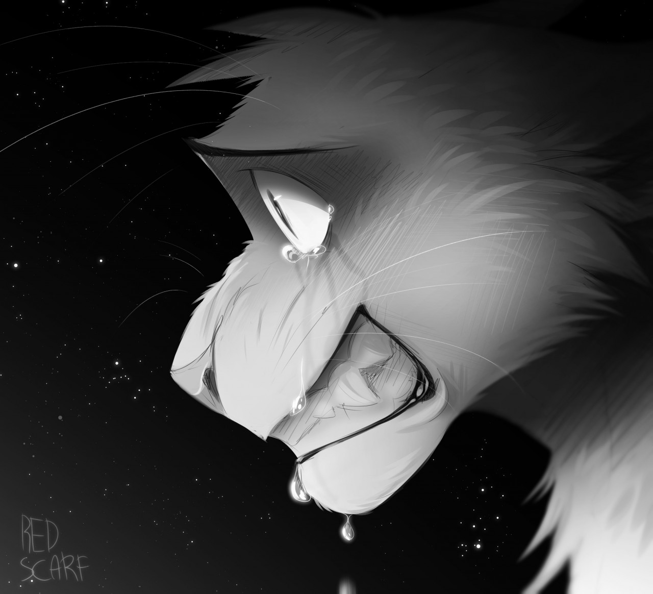 Warrior Cats - Ravenpaw Artist