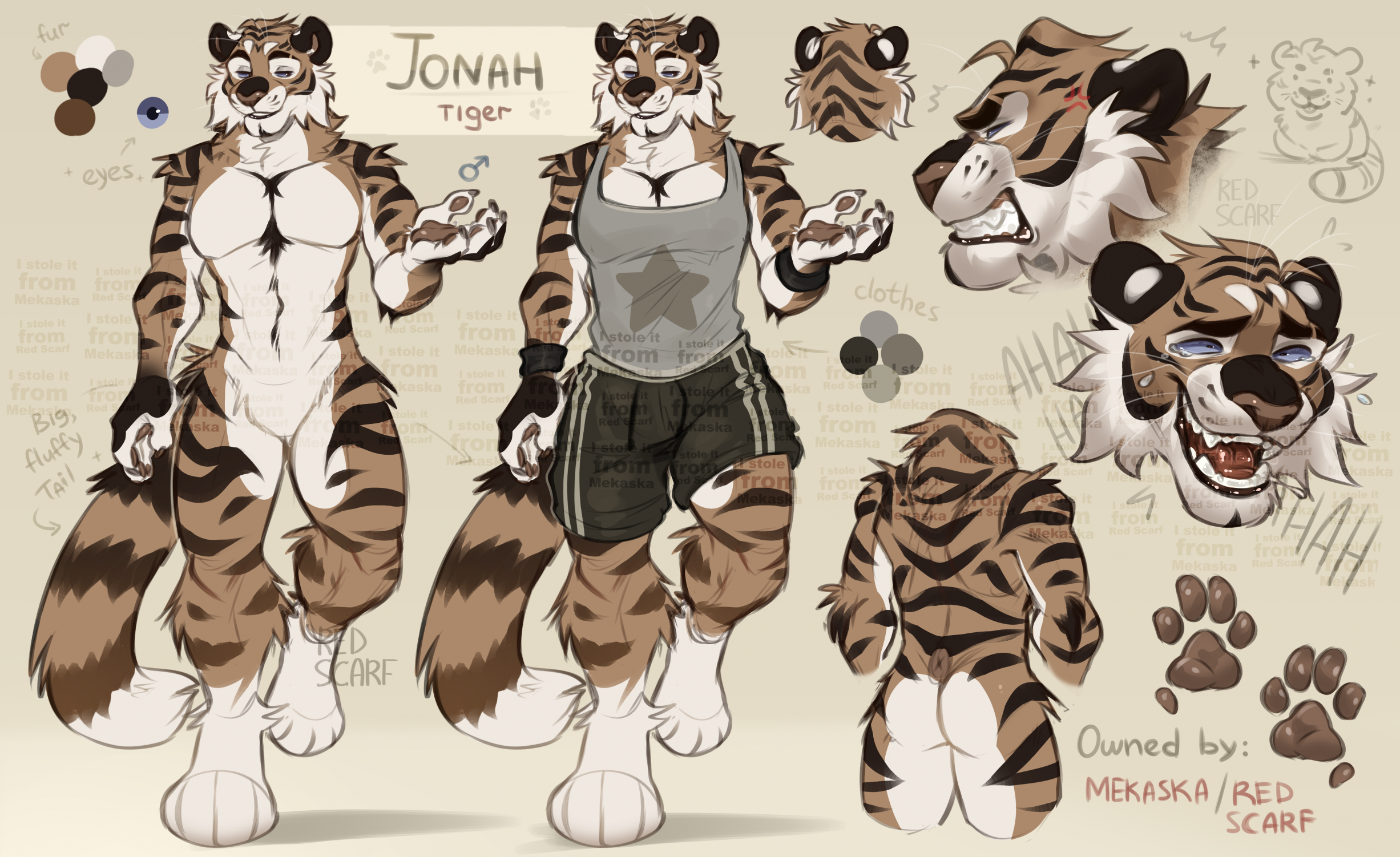 New sona! 🐯 Big Tiger - Jonah