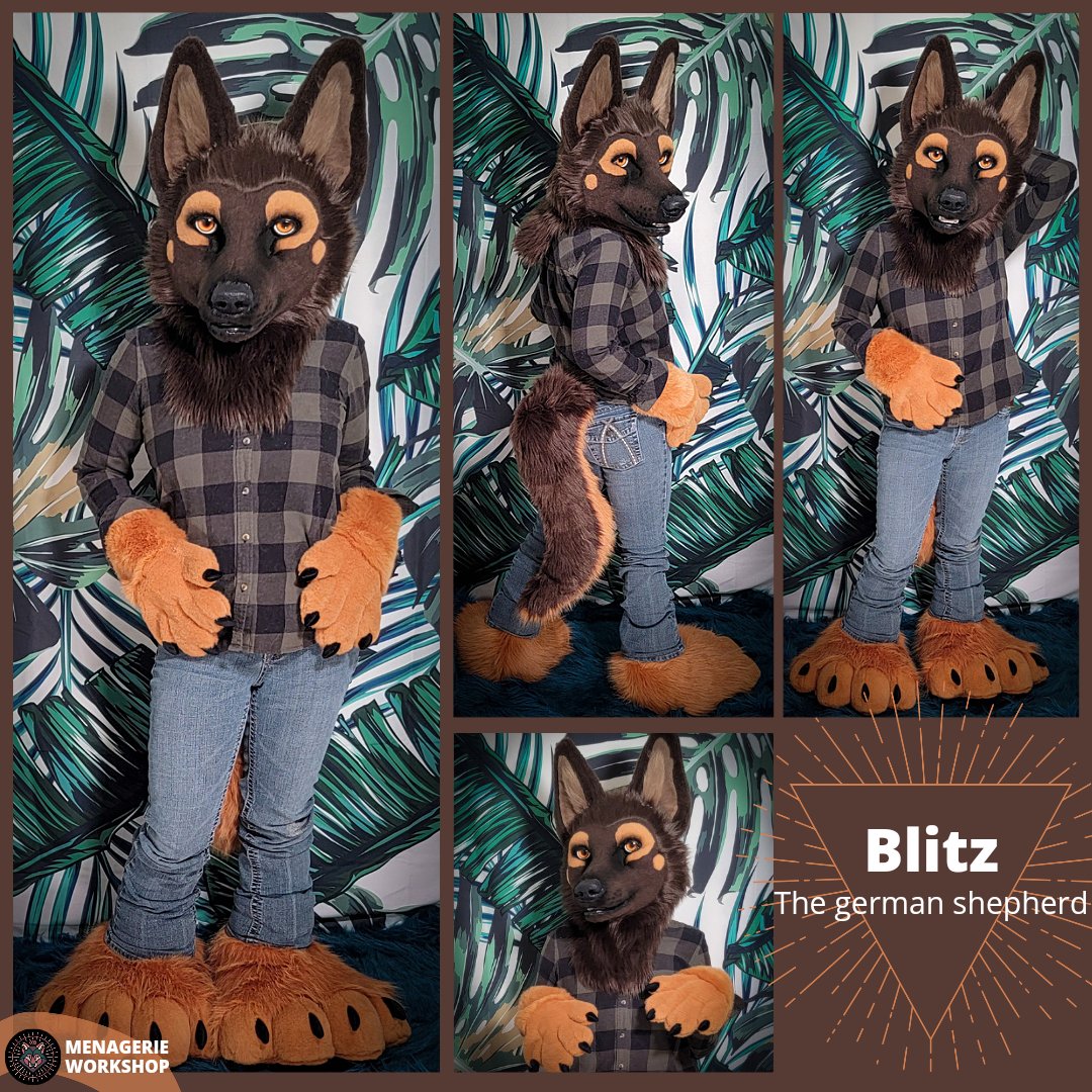 Realistic German shepherd fursuit by menagerieworkshop -- Fur Affinity  [dot] net