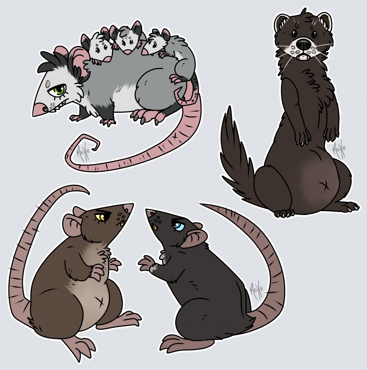 Ferret store and rat