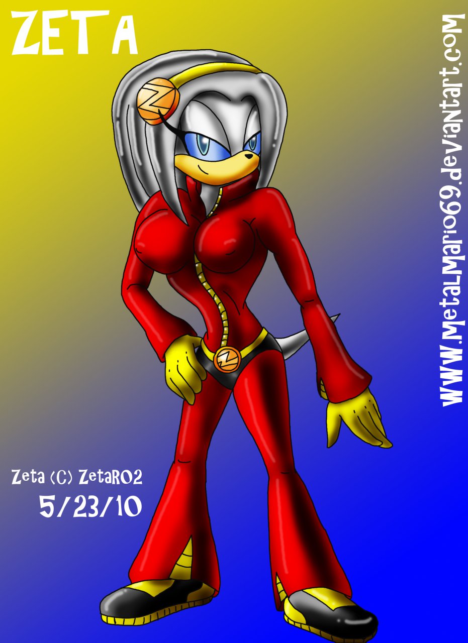 Zeta The Echidna :. by Metalmario69 -- Fur Affinity [dot] net