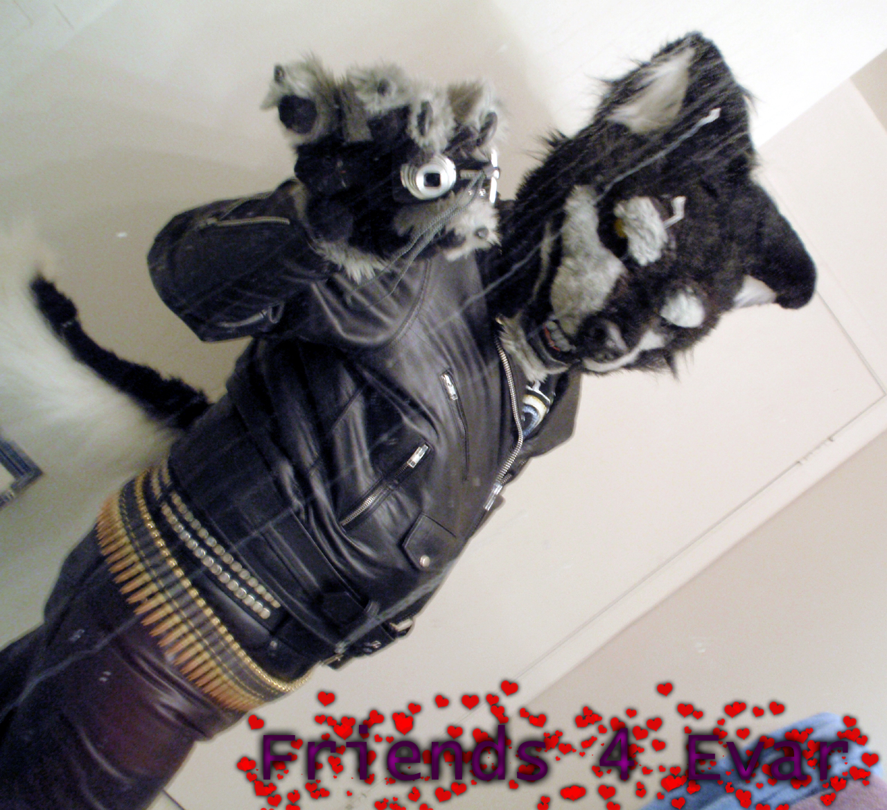 MYSPACE PIC by MetalWoof -- Fur Affinity dot