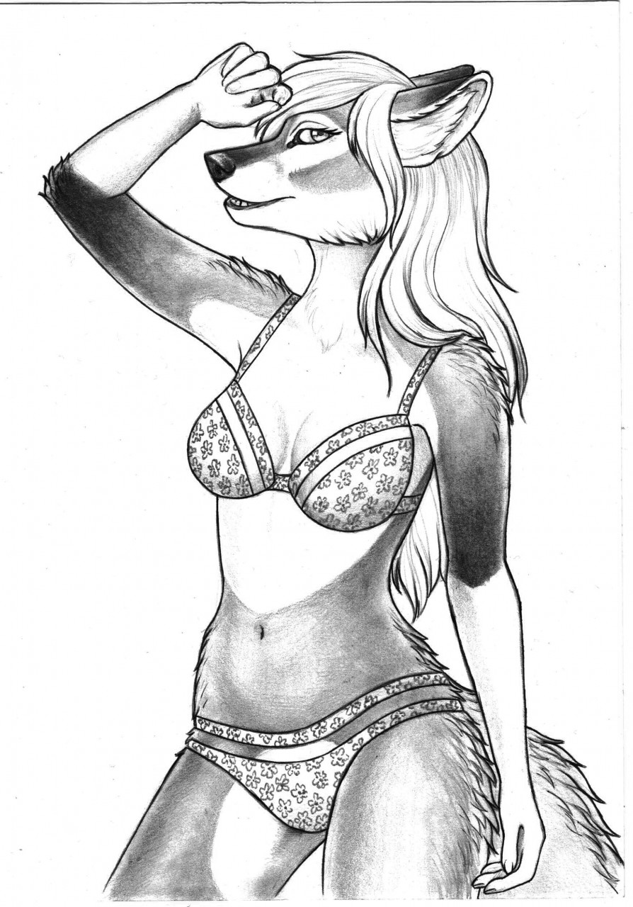 Wolfess in lingerie by Metka04 Fur Affinity dot net