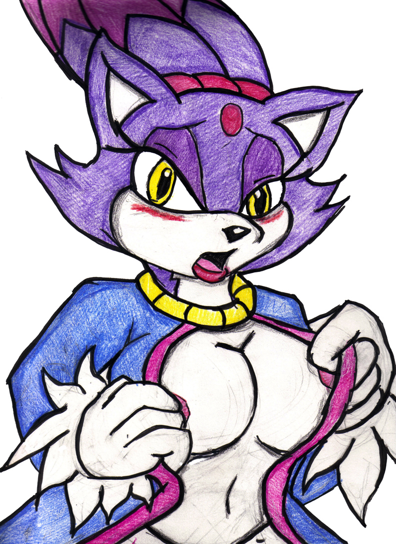 Poll Sketch: Sexy Boobs Blaze by mhedgehog21 -- Fur Affinity [dot] net