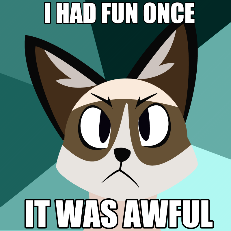 grumpy cat meme i had fun once