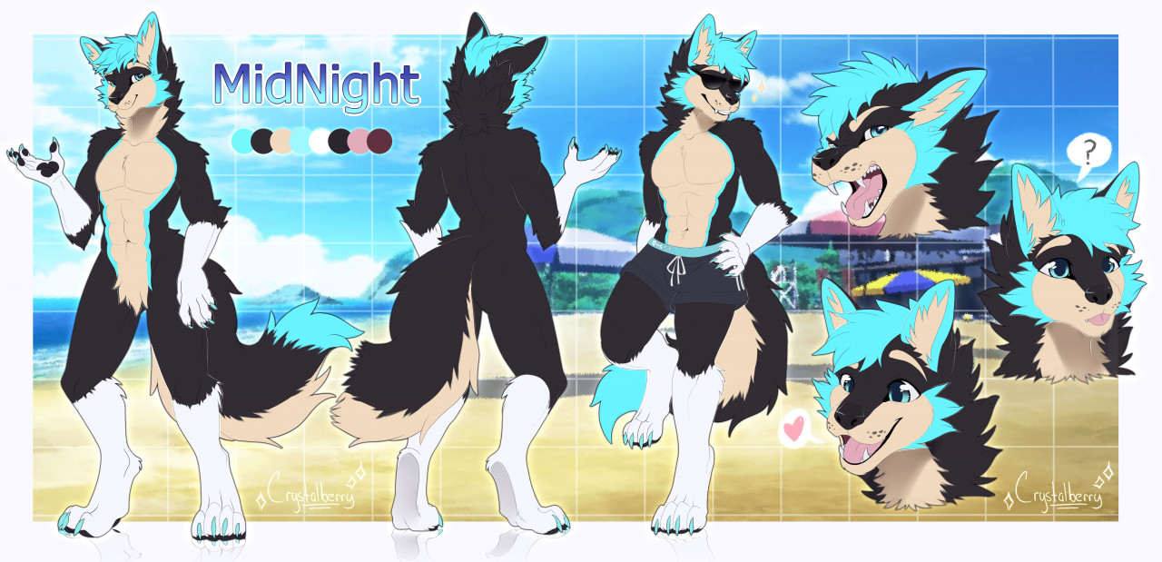 D.J. reference sheet (EDITED) by Awesome-dj-kitty -- Fur Affinity