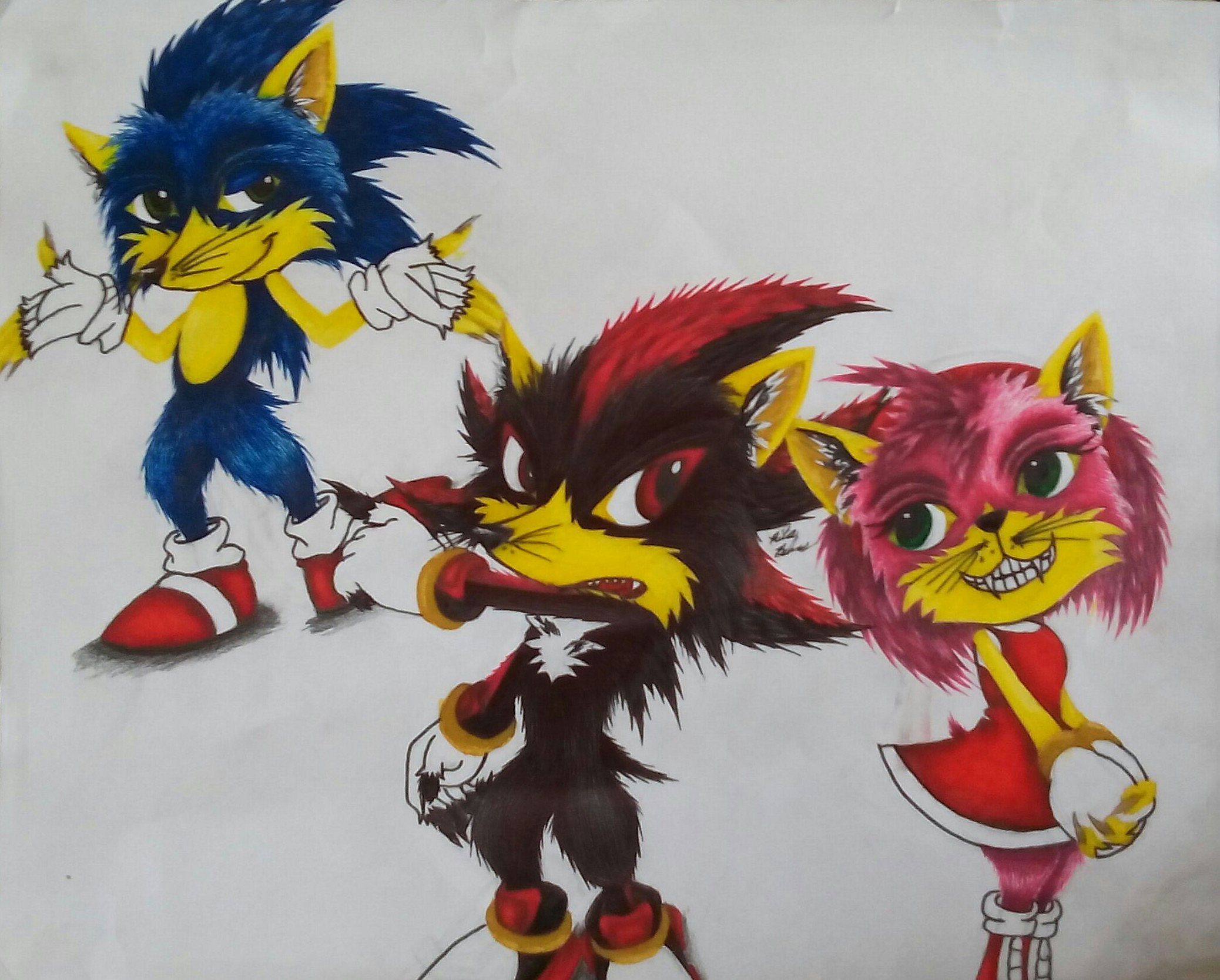 Shadow and Amy and Sonic