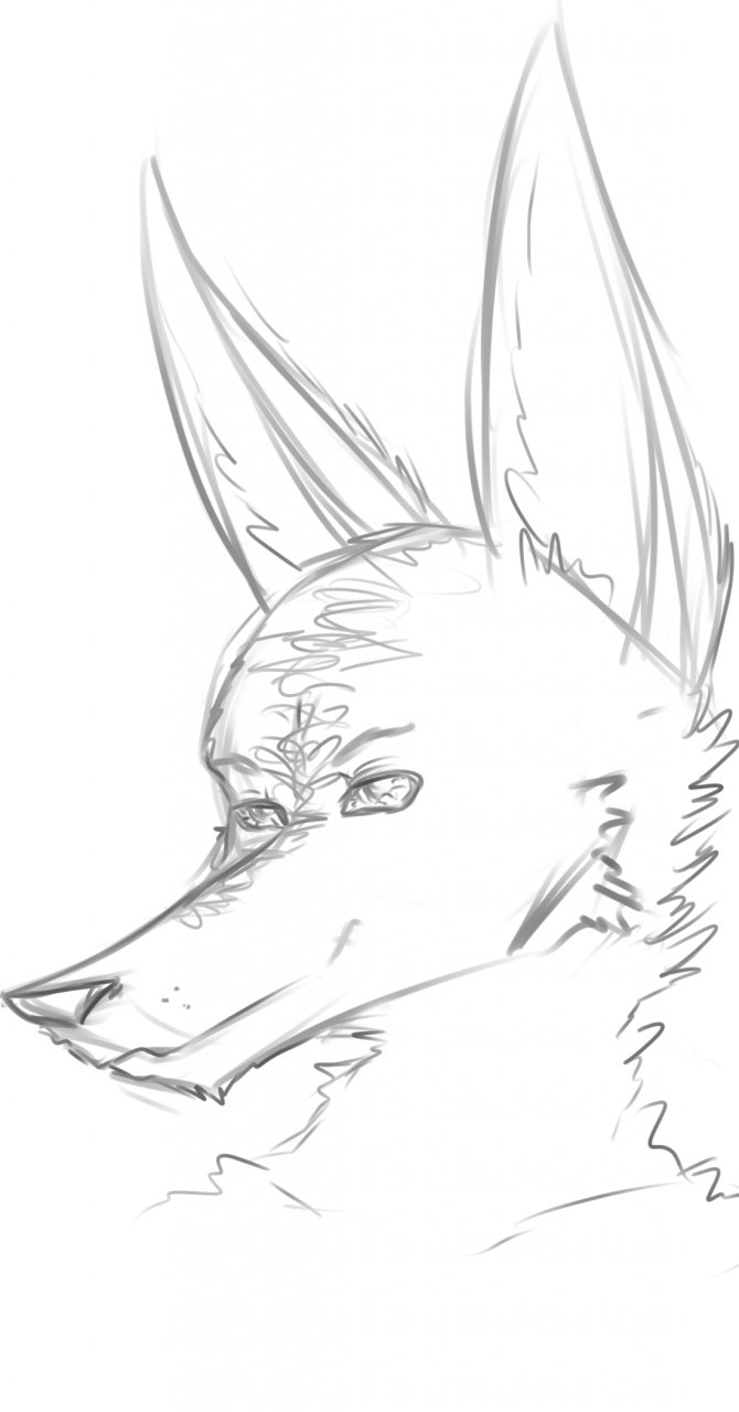 Random jackal doodle by Mimisosa -- Fur Affinity [dot] net