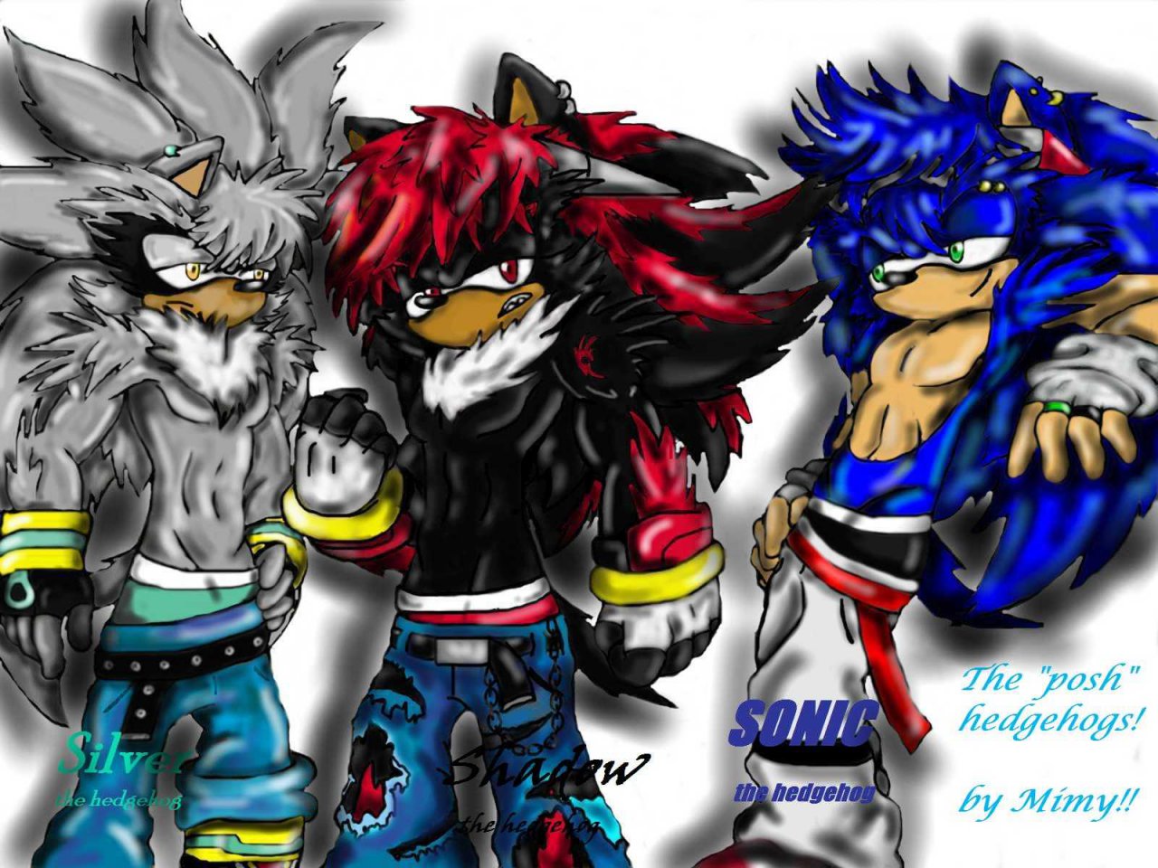 Sonic y shadow silver