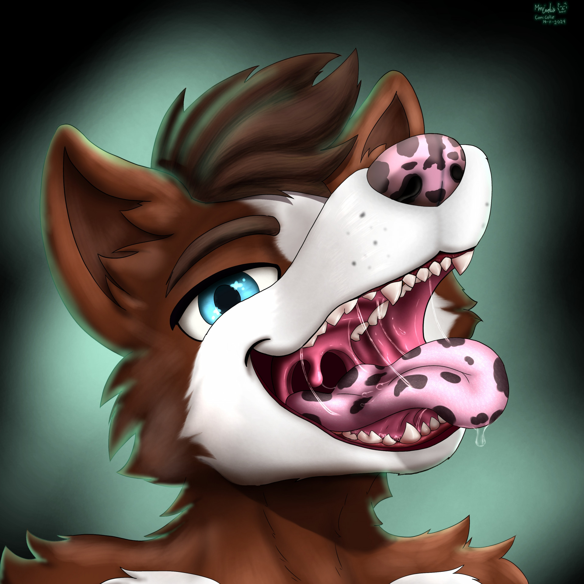 Commission for Collie