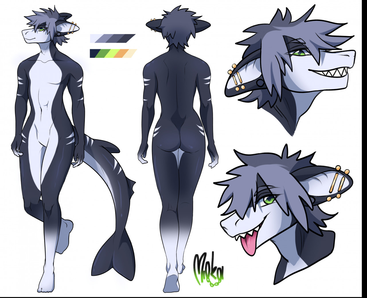 Shark refsheet