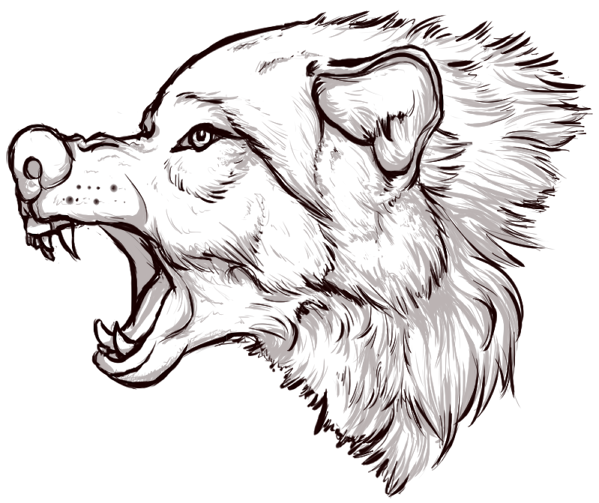 Angry snarling wolf, angry wolf growls, wolf head, vector sketch  illustration, Art Print | Barewalls Posters & Prints | bwc90435611