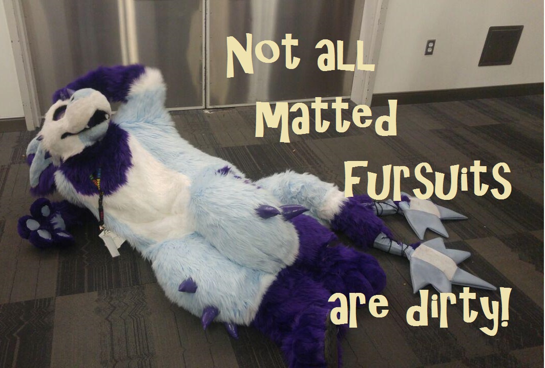 Fursuit Videos