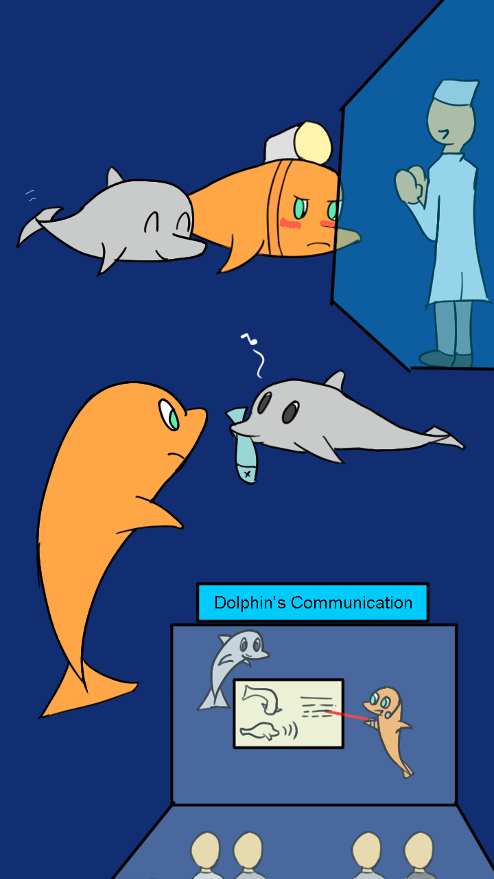 Transformation before a dolphin? Mimmi & the dolphins