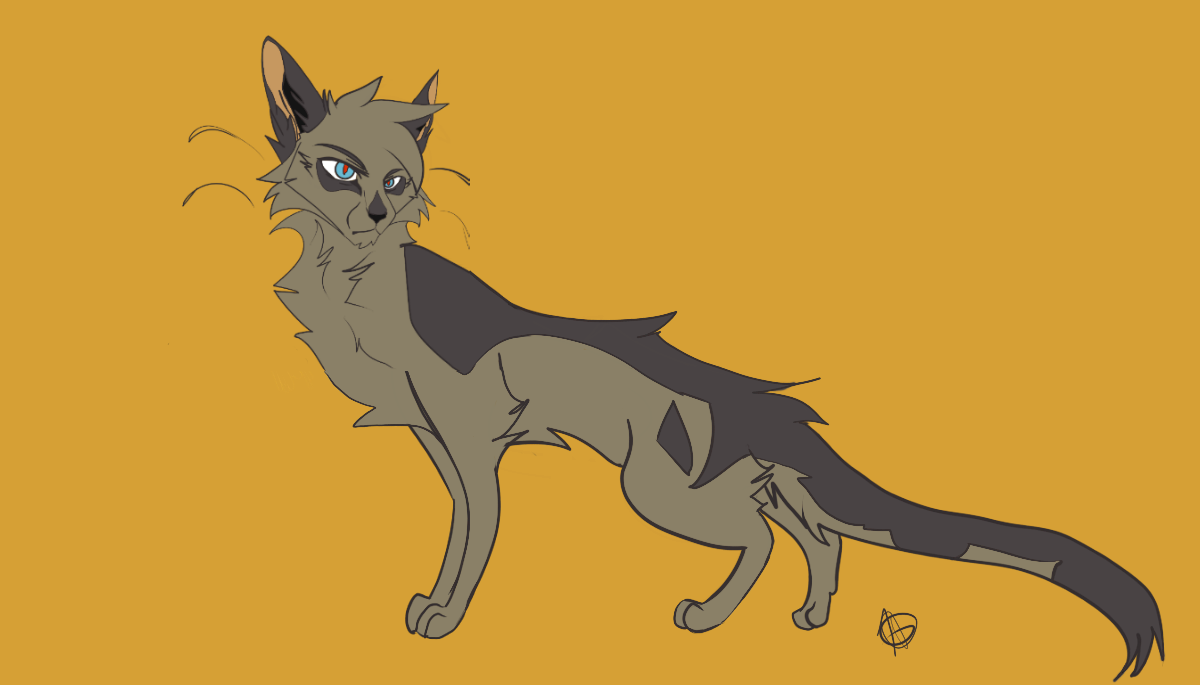 Ashfur Design