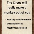 The circus will really make a monkey out of you