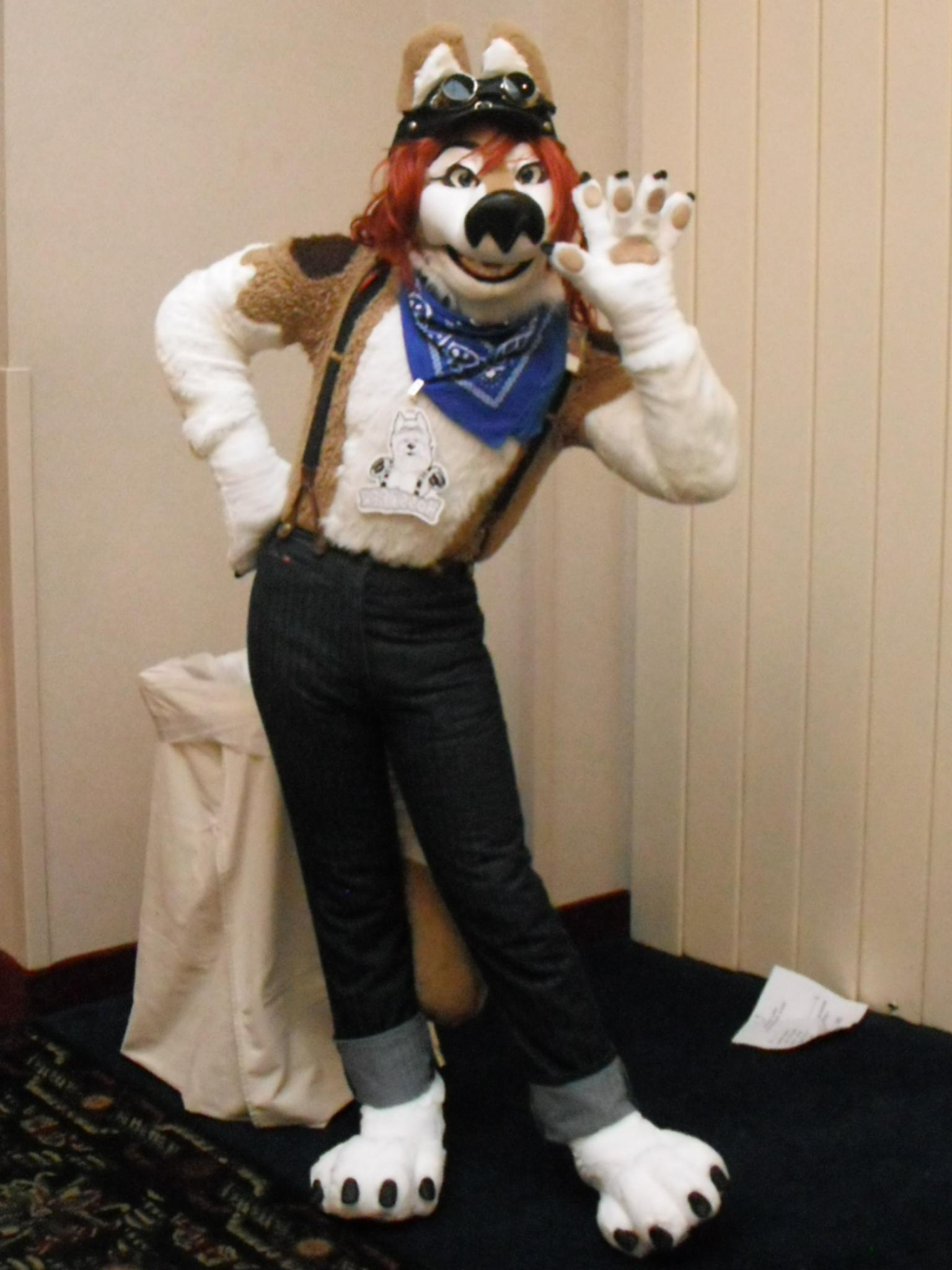 Roxikat At Furfright 2010 by MontieTheWolf-JackTheShepherd -- Fur ...