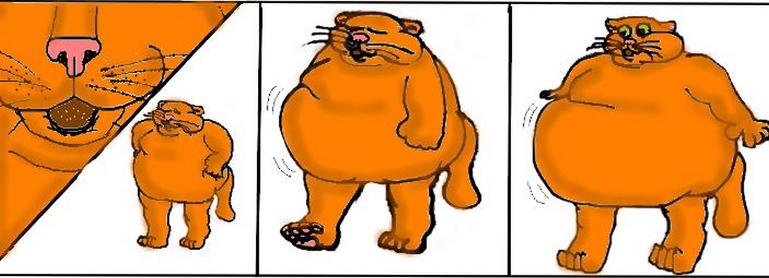 Толстый кот минеральные воды