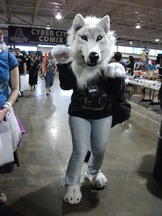 Anthro White-Gray Wolf Cosplay by MoonBeast-AR -- Fur Affini