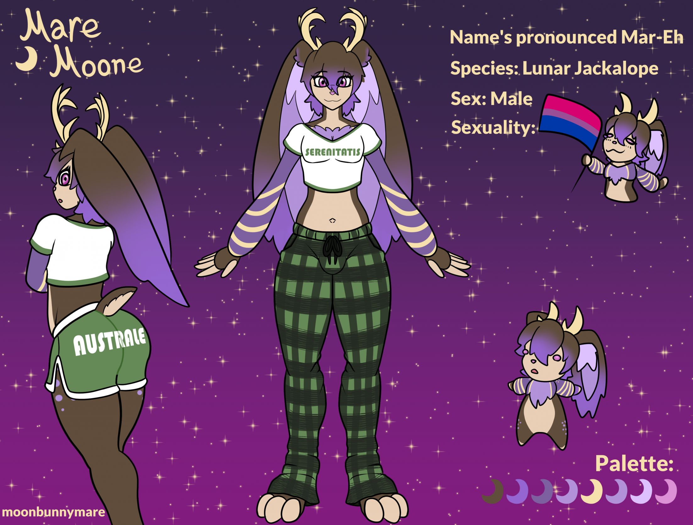 Mare Moone Alt Character Sheet by MoonBunnyMare -- Fur Affinity [dot] net