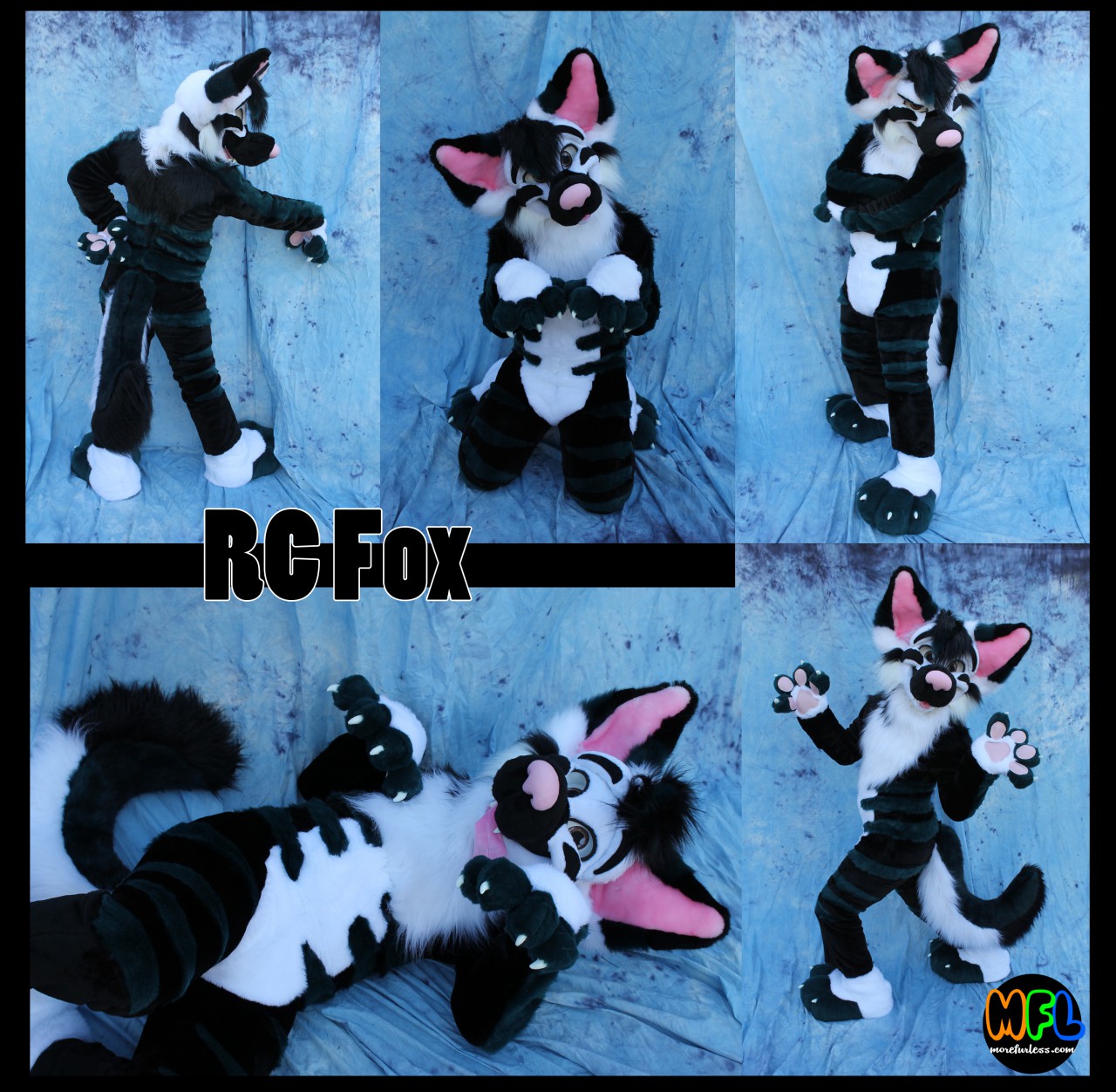 Rcfox