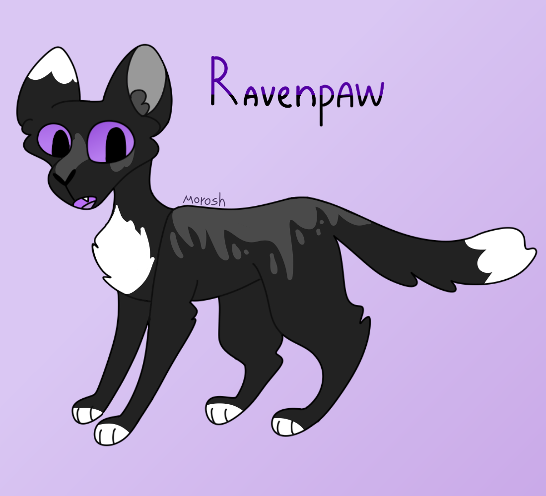 Ravenpaw (Warrior cats) by Hoak -- Fur Affinity [dot] net