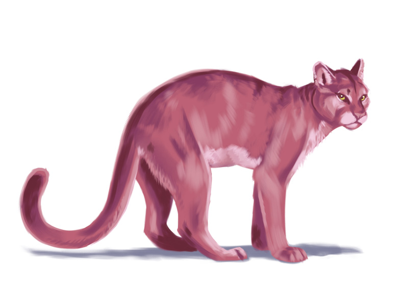 real pink panther