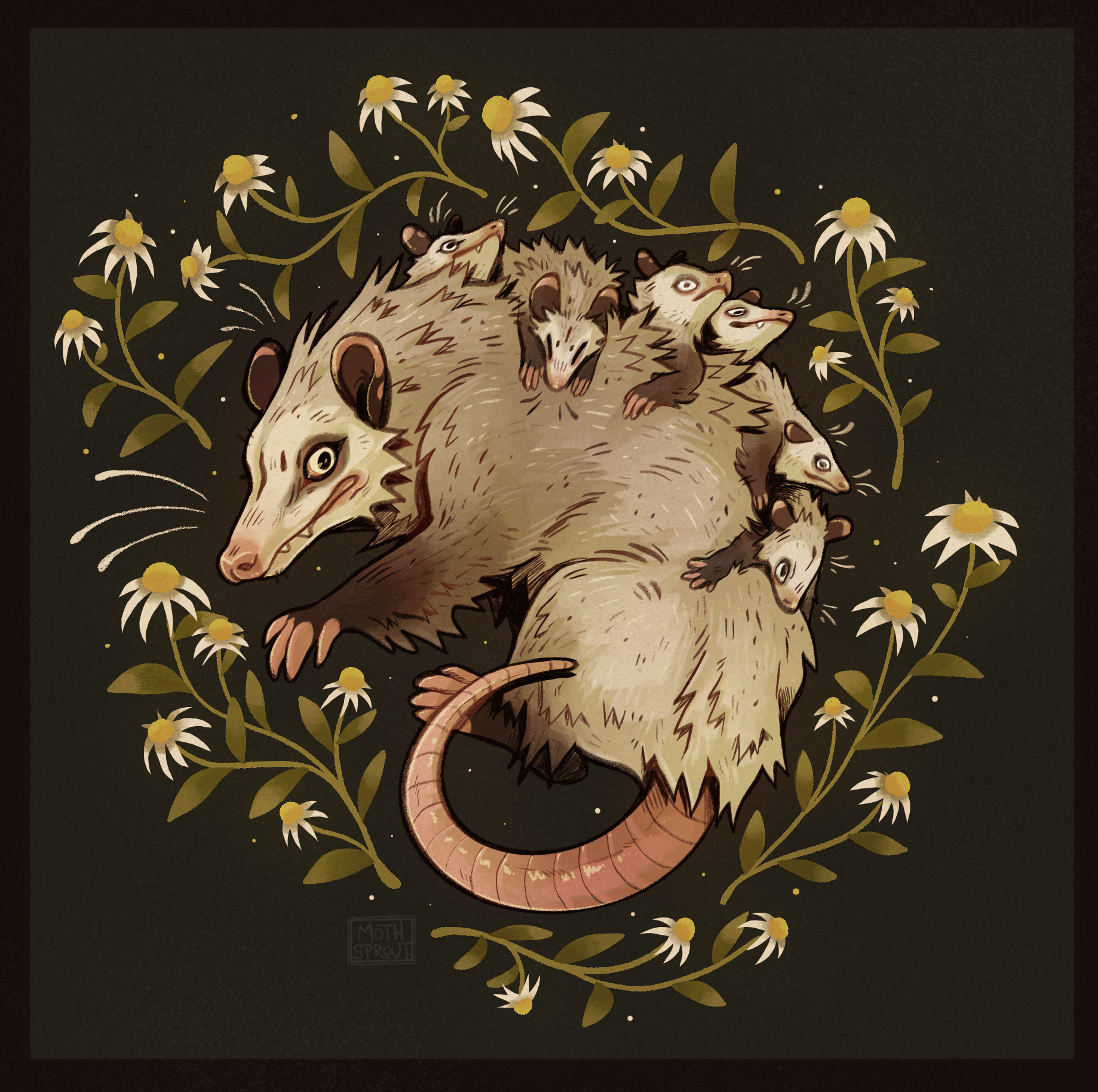 The Opossum Is Standing On A Log In The Woods Background, Picture Of A  Opossum Background Image And Wallpaper for Free Download