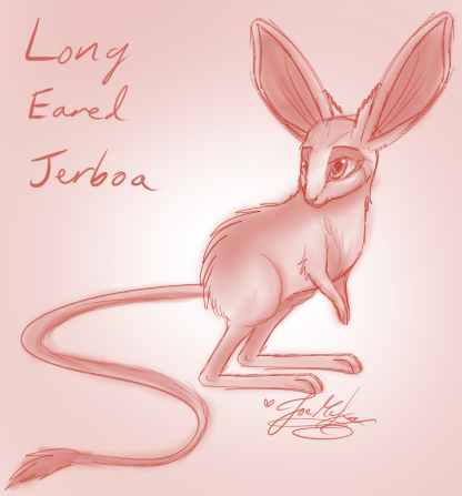 Quick Animal Sketch: Long Eared Jerboa~ by MoxyWolf95 -- Fur Affinity [dot]  net