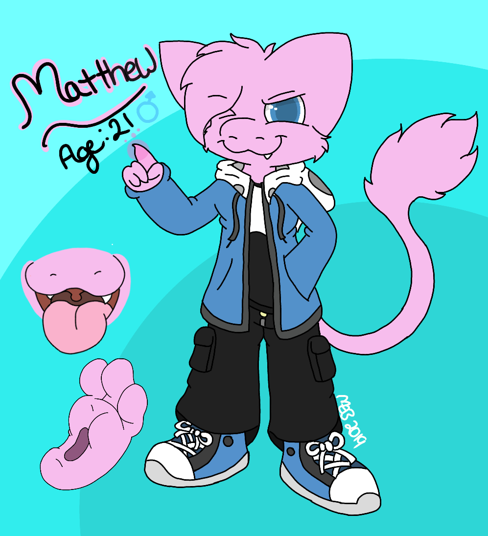 matthew-mew-2019-character-ref-by-mr-alphabites-fur-affinity-dot-net