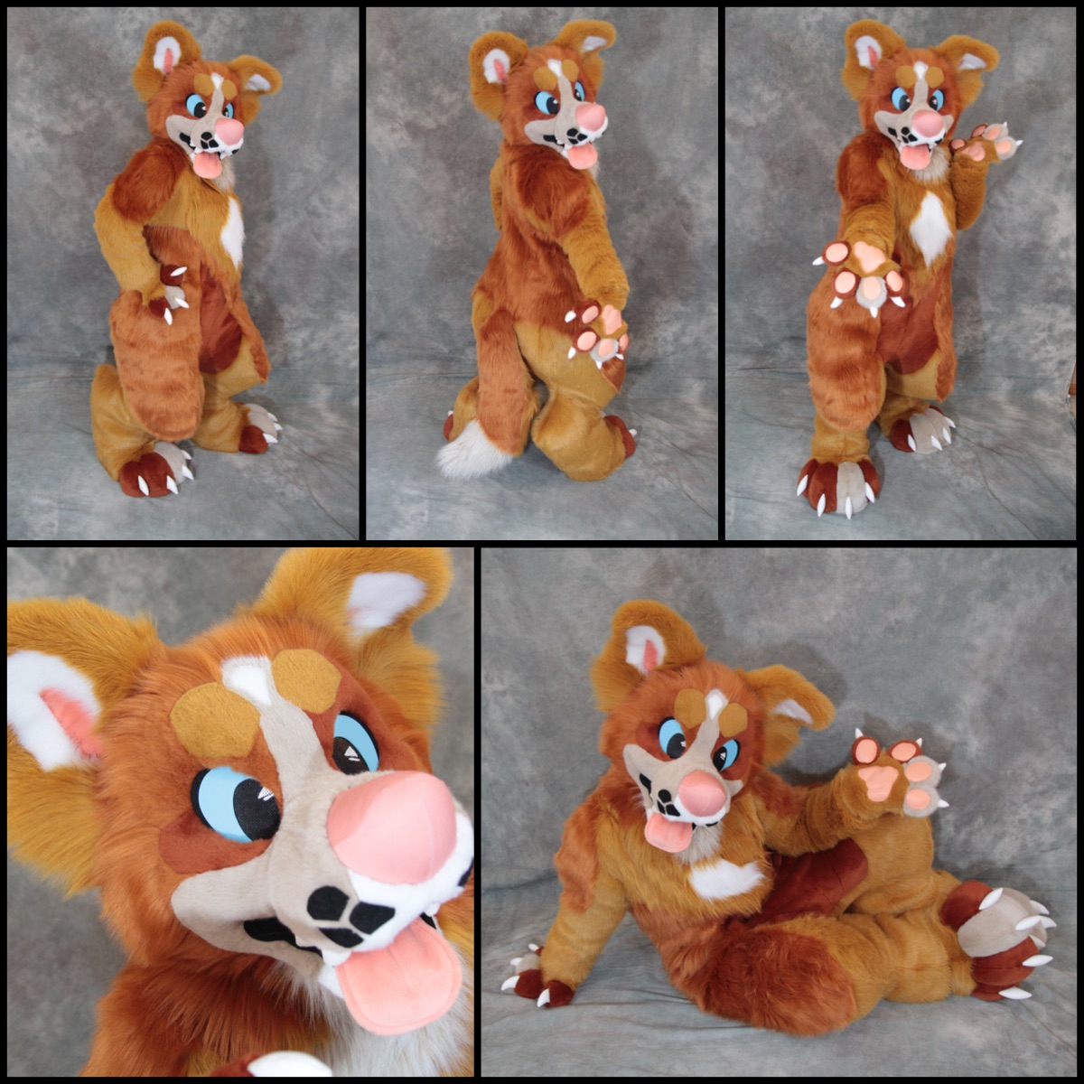 Mixed Breed/Mutt by MulticolorBark -- Fur Affinity [dot] net