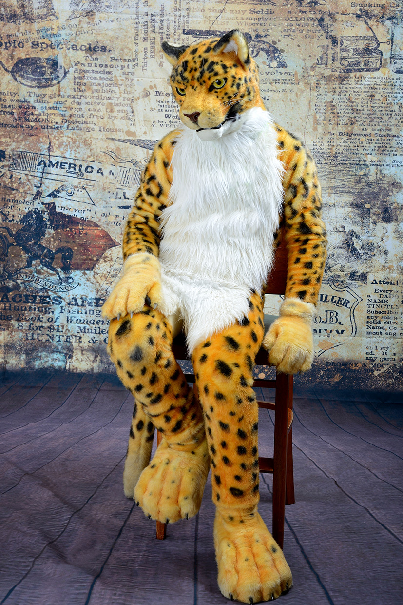 Leopard in a chair by MuraForter &ndash; Fur Affinity [dot] net