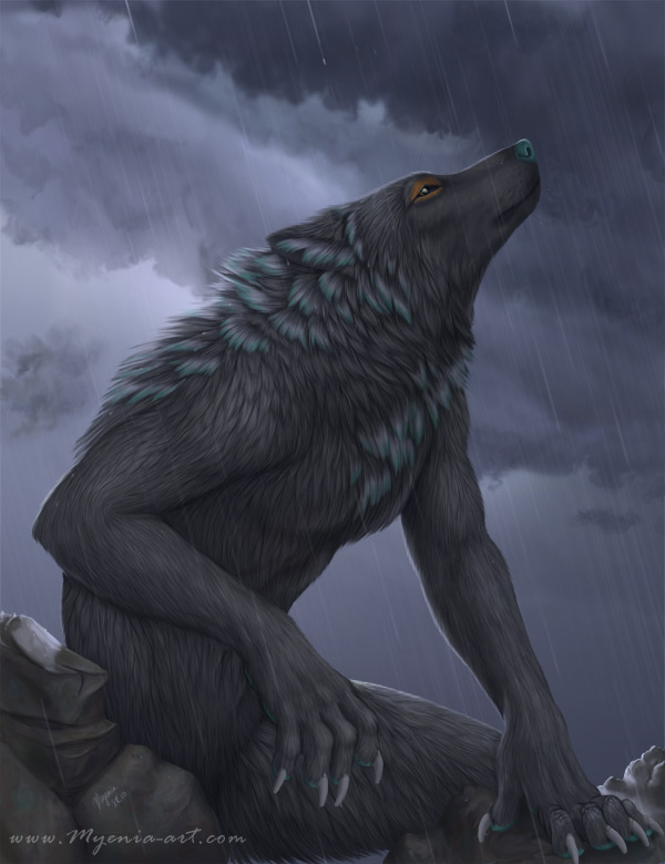 Therian art - Wolf in storm  𖣘Therian • Amino𖣘 Amino