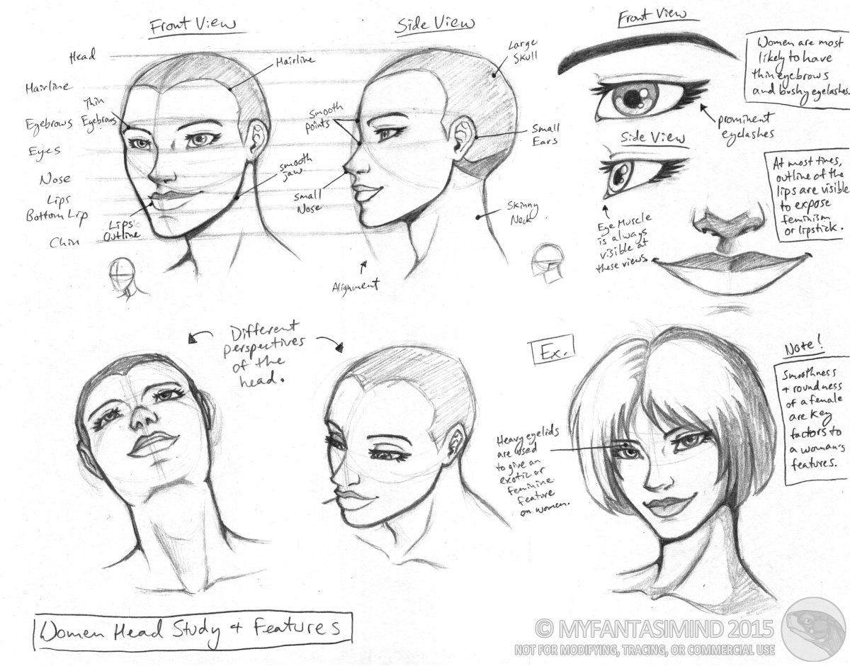 Drawing study head since 2003 by Pearlpencil on DeviantArt