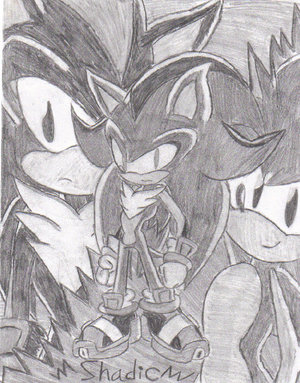 FUSION! Sonic + Shadow = Shadic! by MzShadowette -- Fur Affinity [dot] net